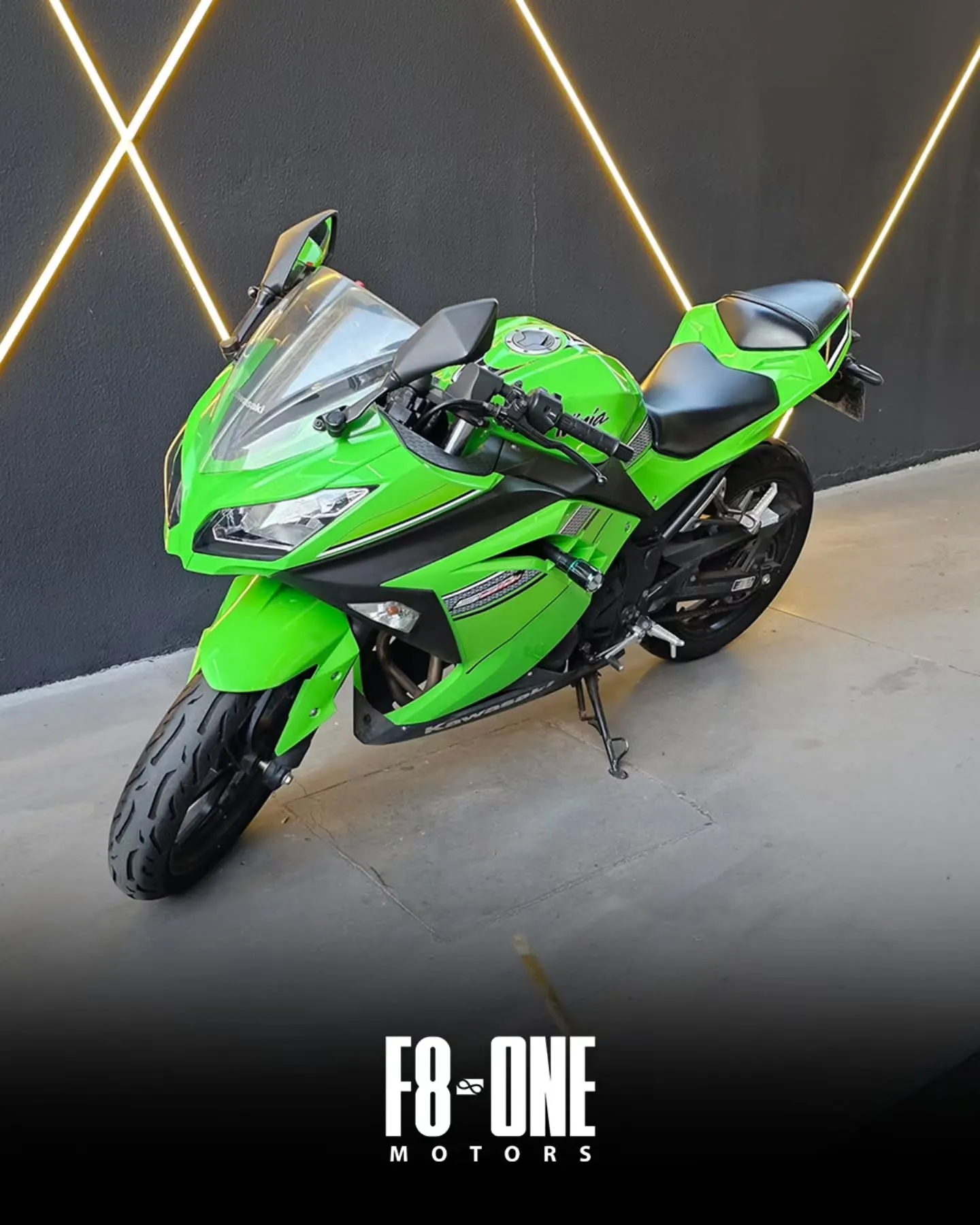 Kawasaki Ninja 300 2014